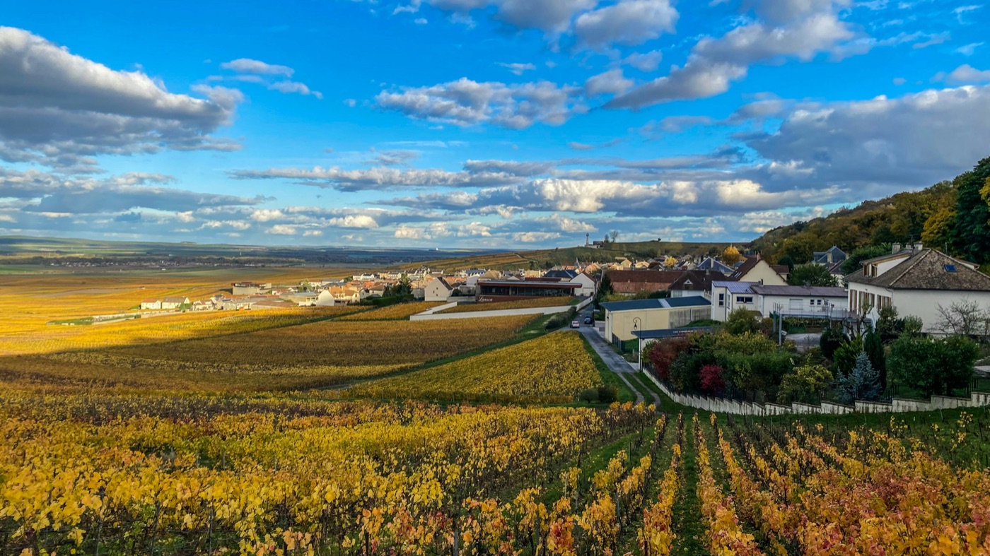 Golden autumn vineyards beside the village of Verzenay in Champagne, France